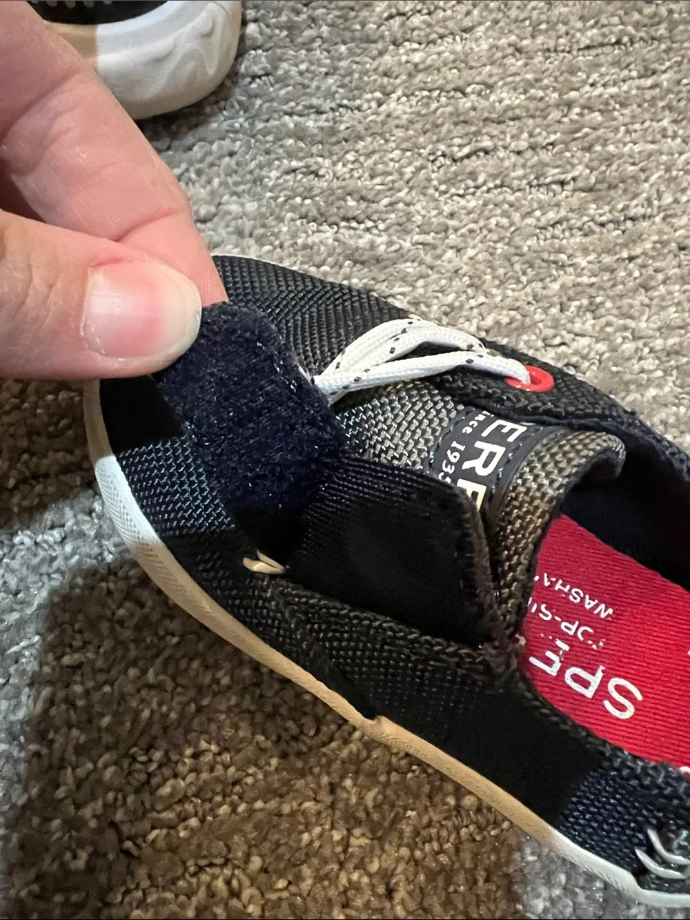 Sperry Kids Navy Mesh Slip-On Sneakers with Red Accents